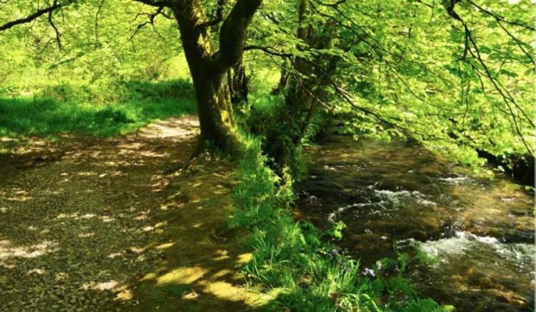 Camelford to Watergate Image 1