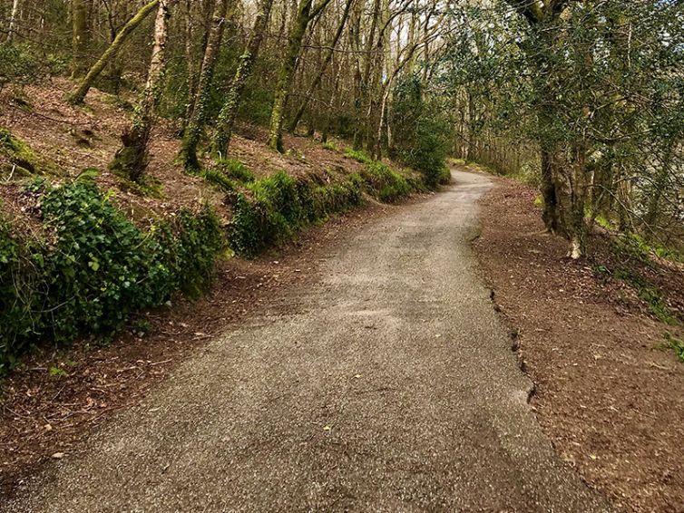Kilminorth Woods Giants Head Image 3