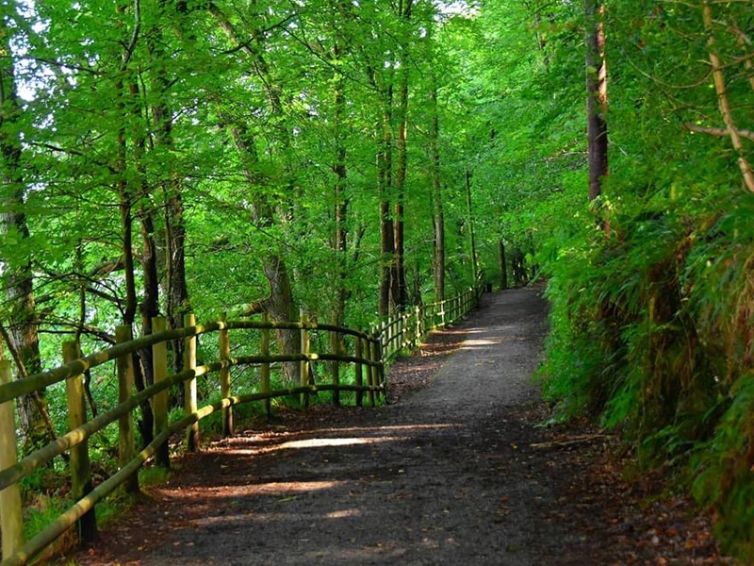 Kilminorth Woods Giants Head Image 5