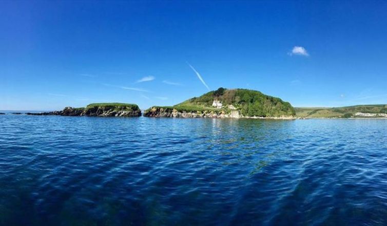Looe Island Image 1