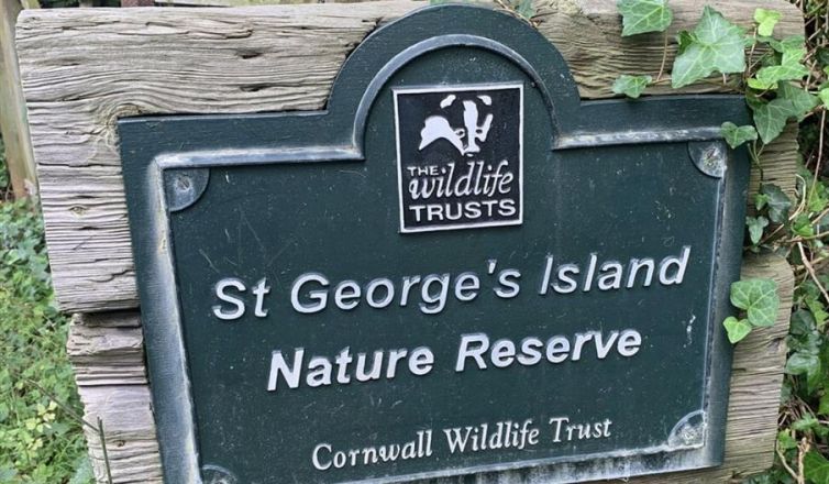 Looe Island Image 3