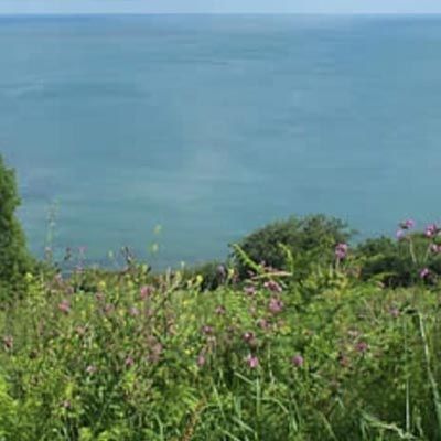 Looe Wooldown