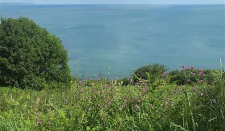 Looe Wooldown Image 1