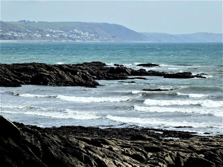 Rockpooling Image 3