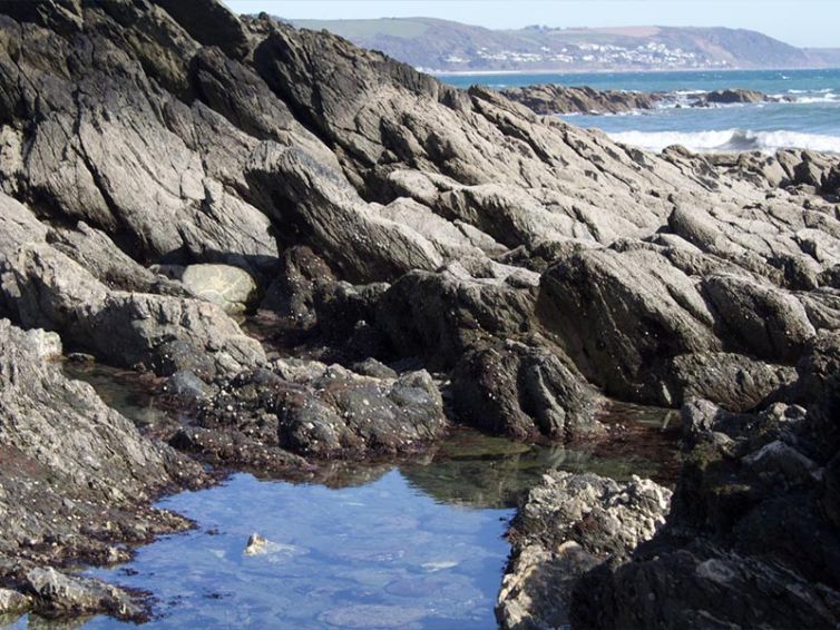 Rockpooling Image 4
