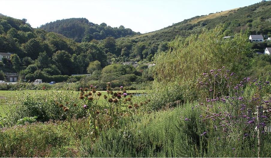 Seaton Valley Countryside Park Image 1