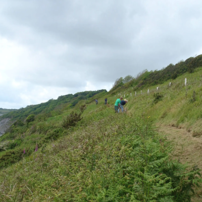 SWCP Walk: Struddicks