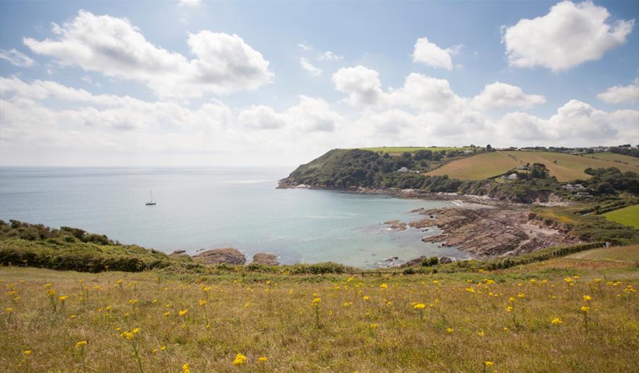 Talland Bay to Polperro Image 1