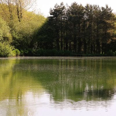 Bake Lakes