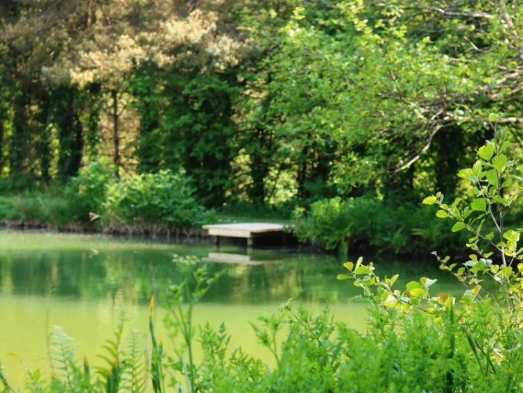Bake Lakes Image 3