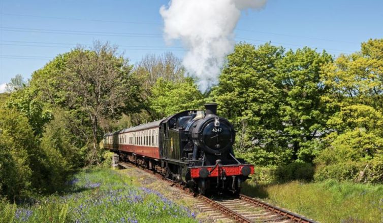 Bodmin Wenford Railway Image 2