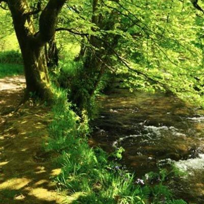 Walk: Camelford to Watergate