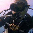 Dive Looe Image 1