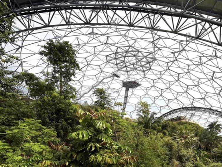 Eden Project Image 2