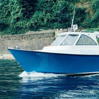 Looe Boat Trips