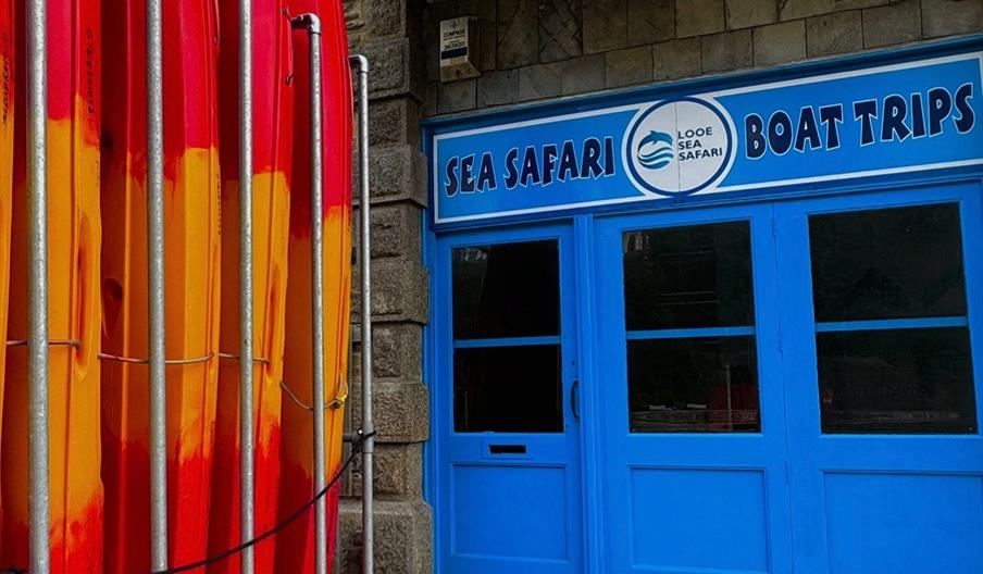 Looe Sea Safari Image 1