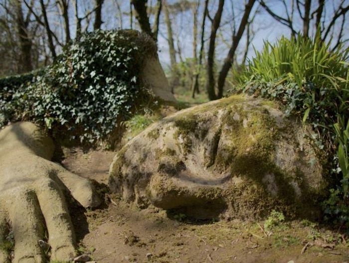 Lost Gardens of Heligan Image 1