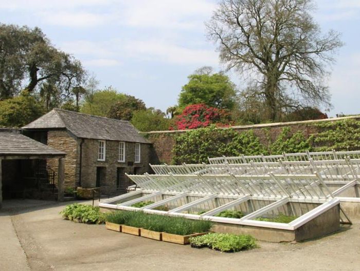 Lost Gardens of Heligan Image 2