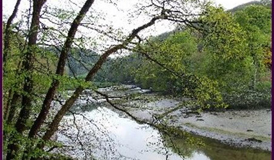 Pelynt West Looe Valley Image 1