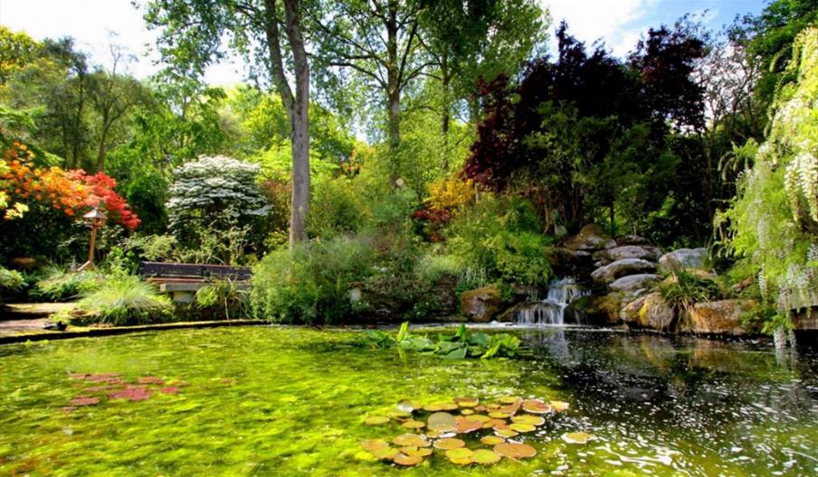 Pinetum Gardens Image 1