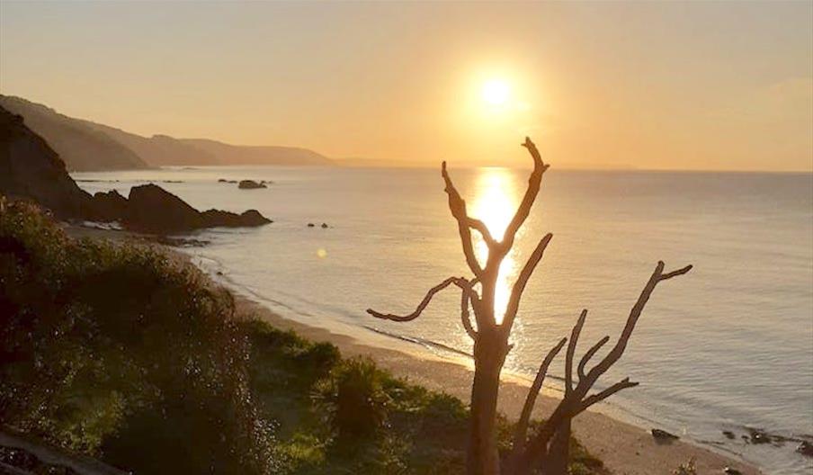 Plaidy Beach Image 1