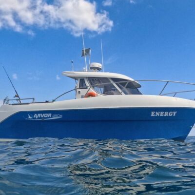 Looe Boat Trips