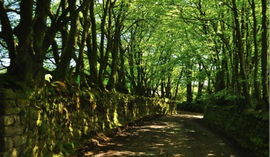 St Brewards to King Arthurs Hall Image 1