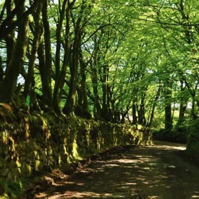 Walk: St Brewards to King Arthur’s Hill