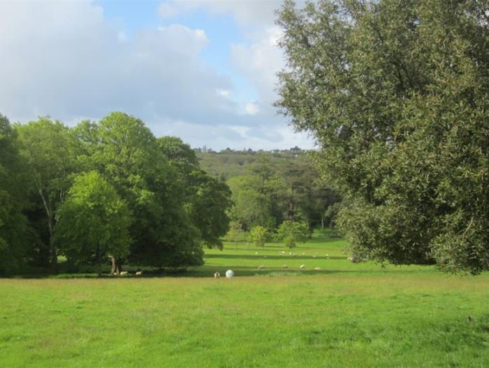 Tregrehan Garden Image 4
