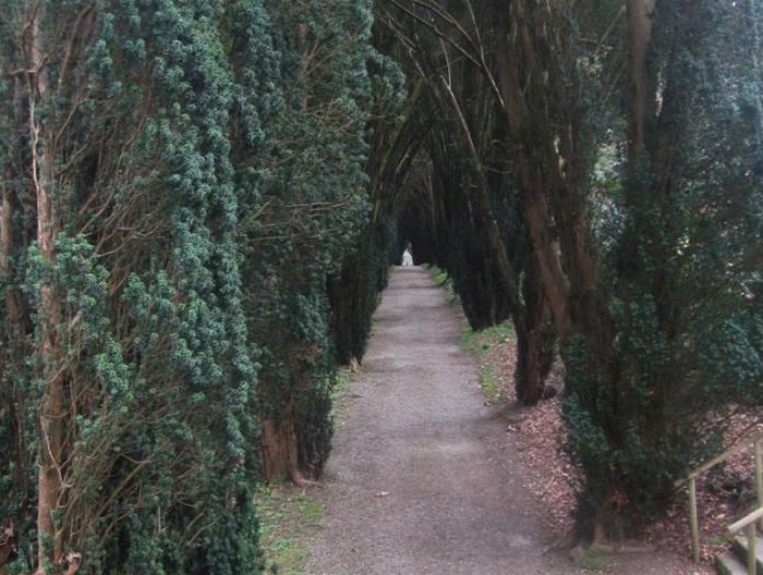Tregrehan Garden Image 5