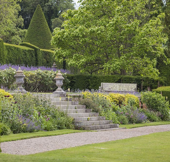 The terraces in June at Antony House, Cornwall