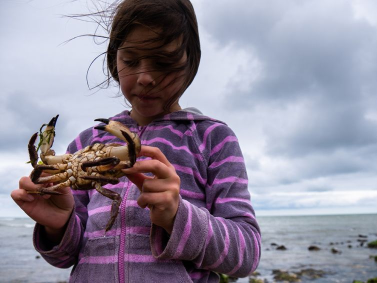 Catching crab at Sheringham Park, Norfolk